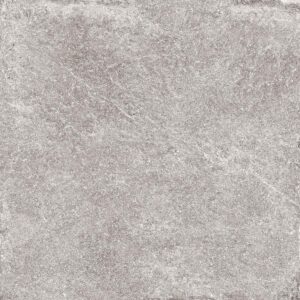 A gray stone tile background with some white spots.