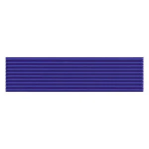 A blue ribbon with a black stripe on it.